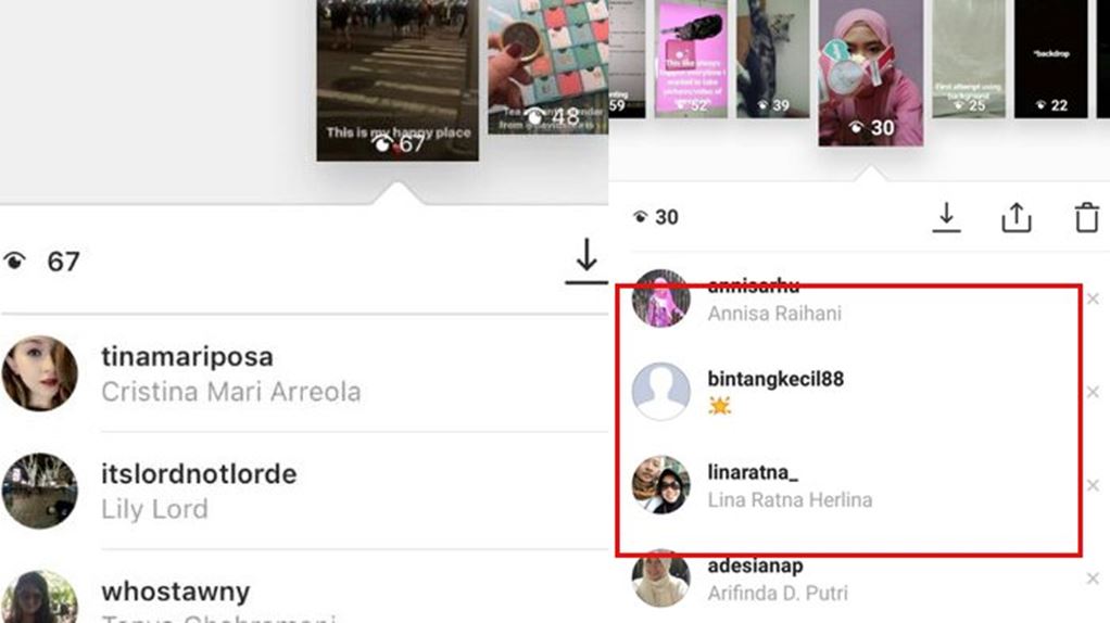 Penonton Instagram Story